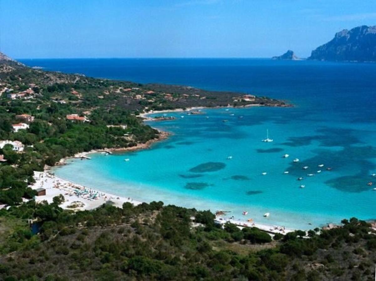 Apartament Magic Dalu Con Posto Auto Olbia Zewnętrze zdjęcie